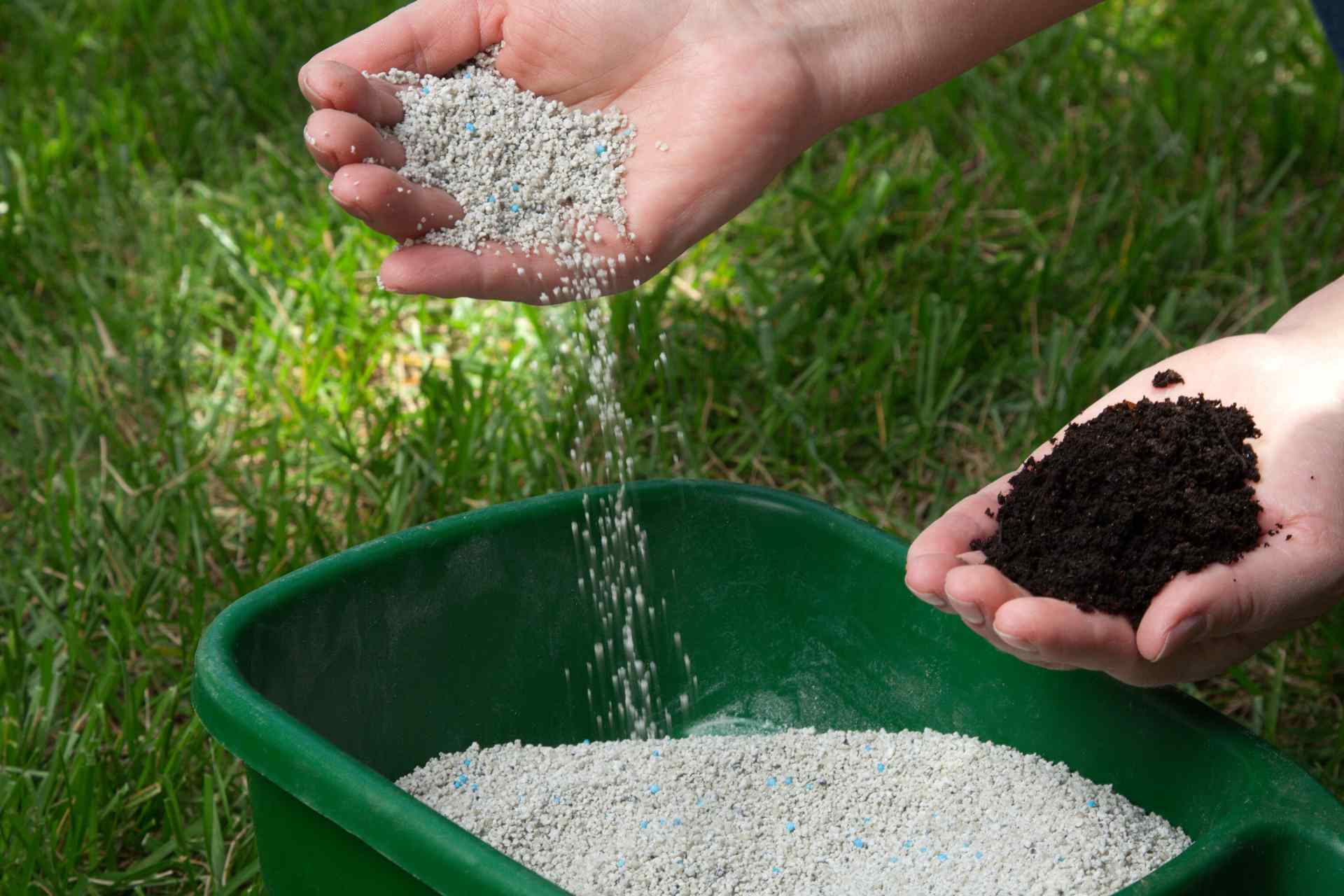 Fertilization the summer tips to give you the best lawn