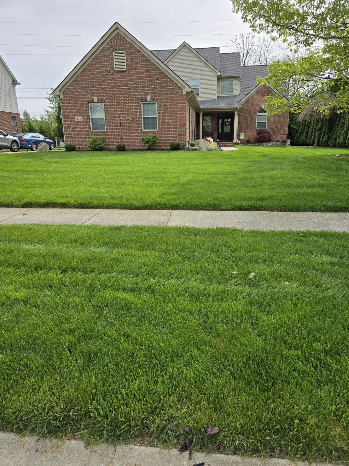 Early Year Aeration