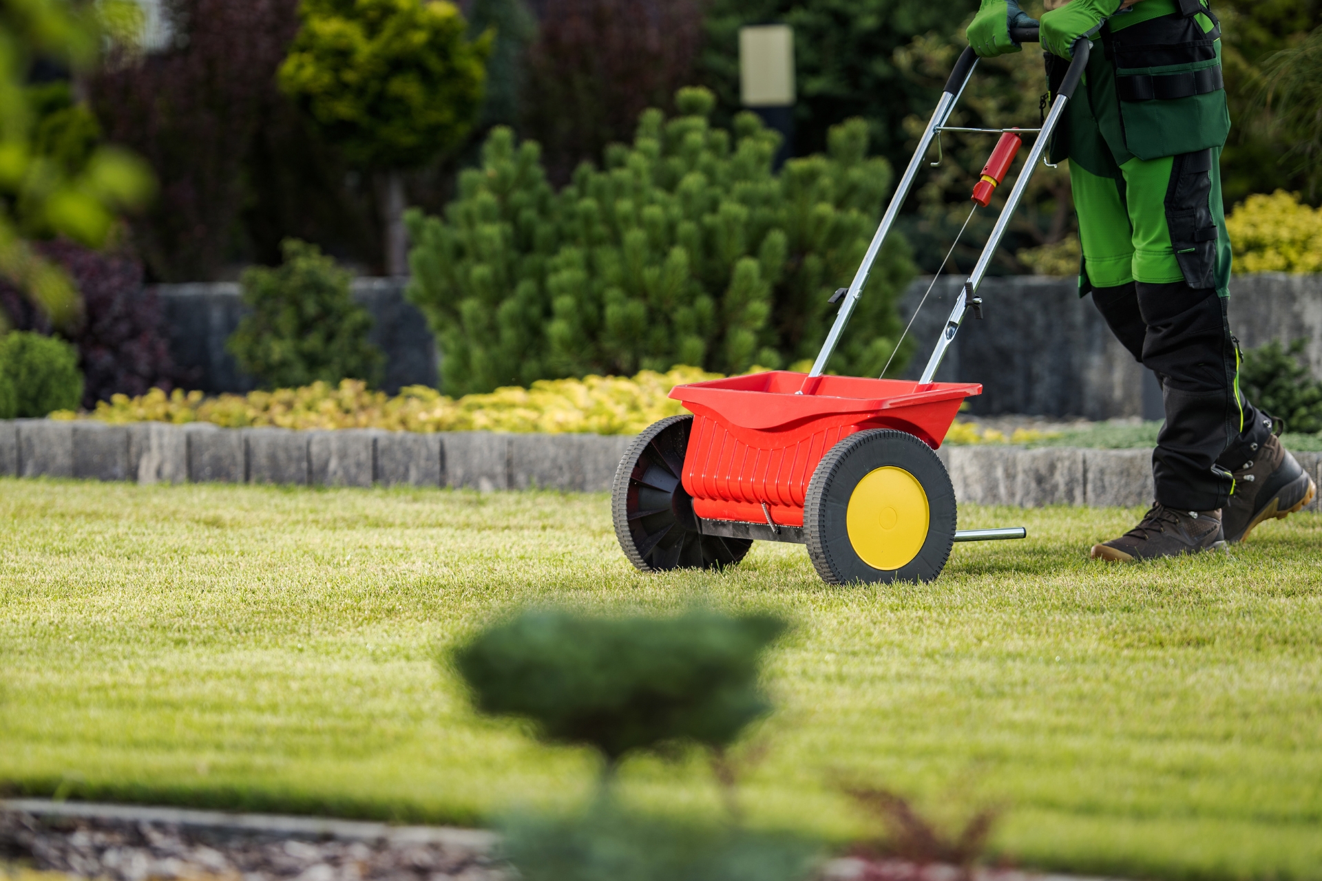 aeration and overseeding