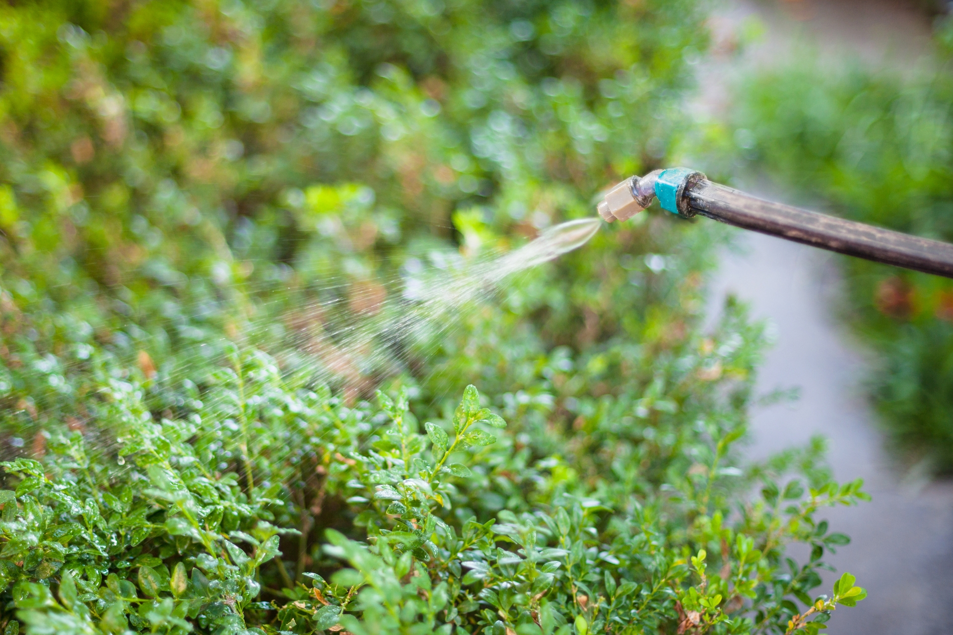Perimeter Pest Control