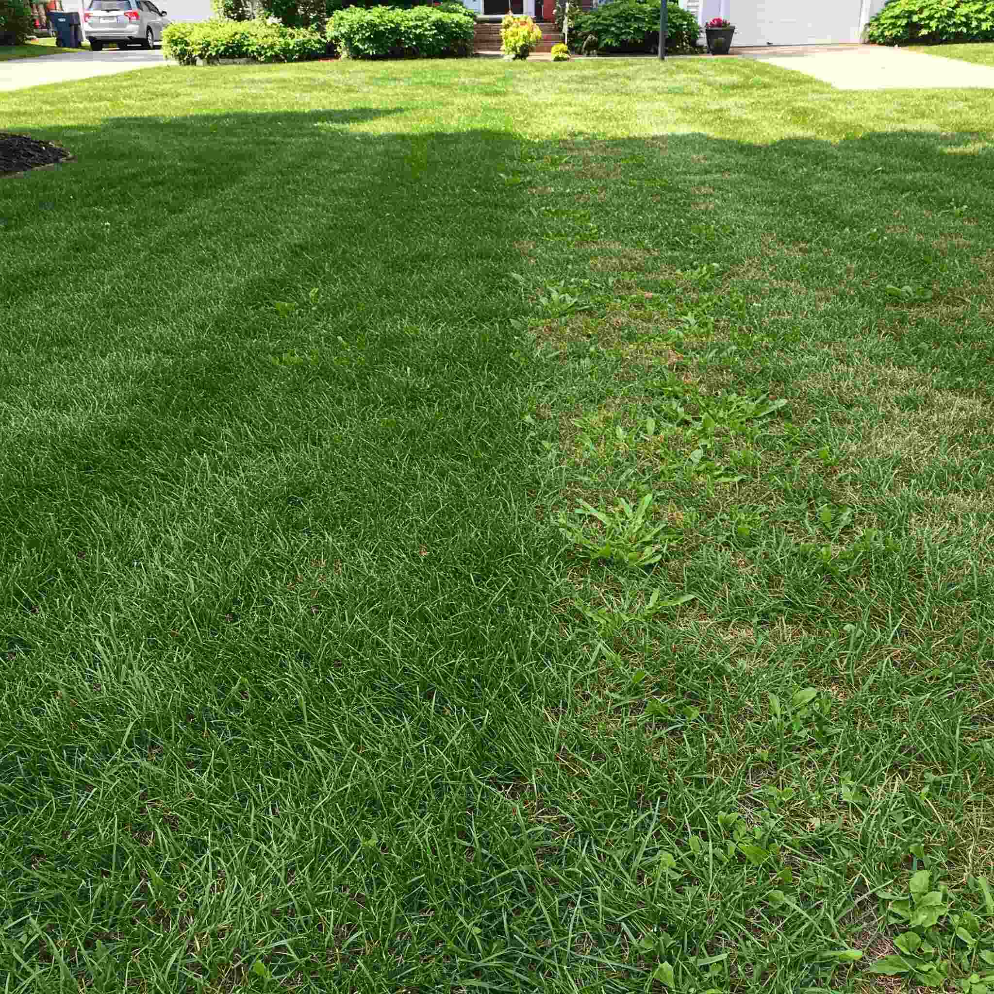  Apply Pre-Emergent Herbicides Early