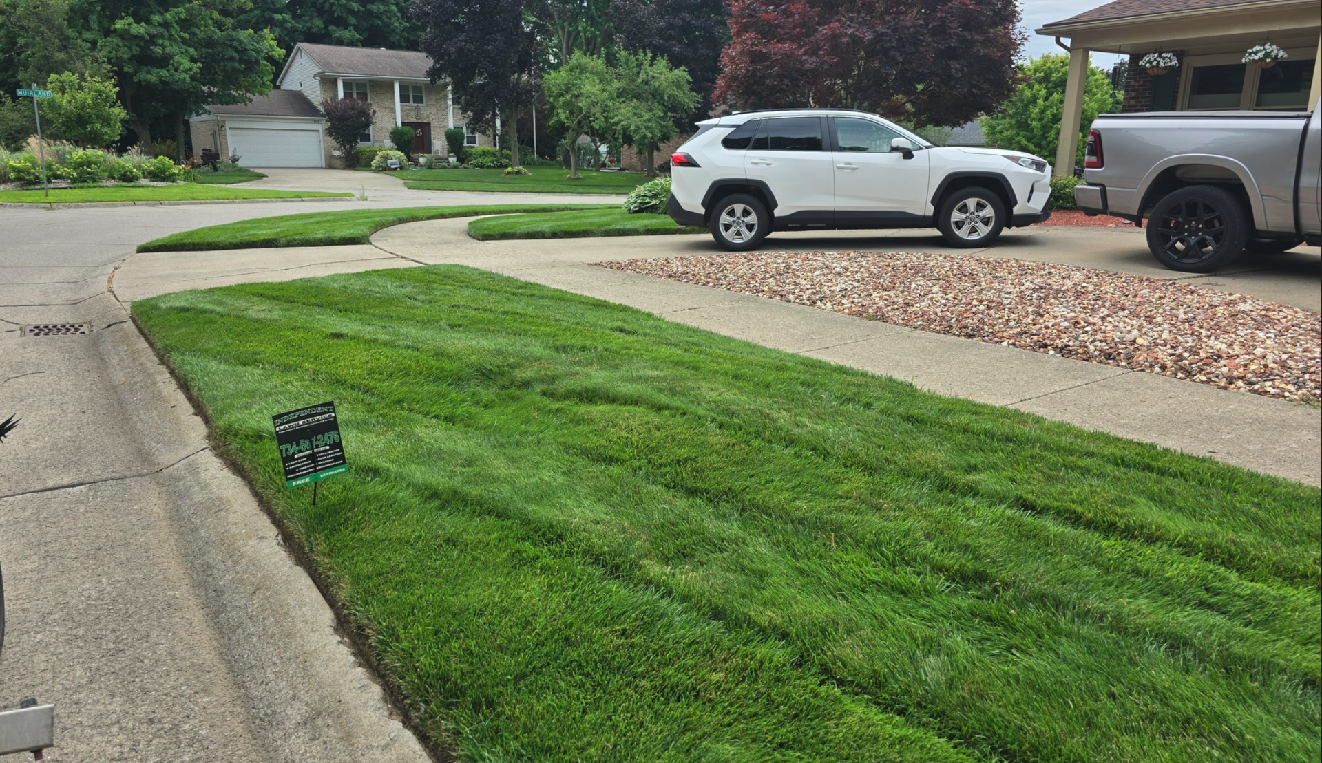 Pet-Friendly Lawn Fertilization and Weed Control